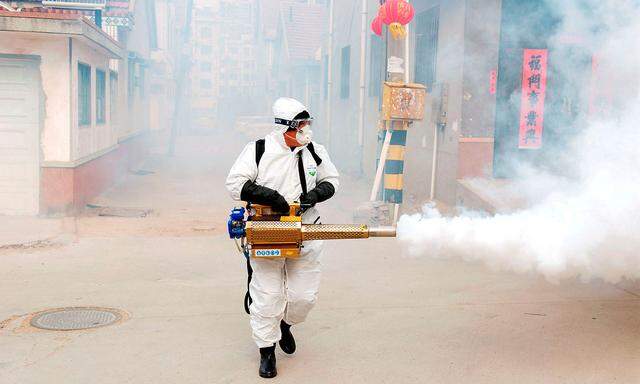 Ein Arbeiter desinfiziert ein Viertel in Qingdao in der chinesischen Provinz Shandong.