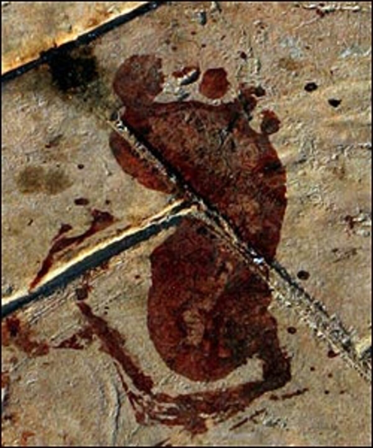 APRIL22. April: Rund vier Monate nach der Wahl im Irak wird der schiitische Politiker Nuri al-Maliki mit der Regierungsbildung beauftragt. Er löst Übergangsregierungschefs Ibrahim al-Jaafari ab. 24. April: Nach der zweiten Runde der ungarischen Parlamentswahl steht fest, dass in Ungarn erstmals seit dem Fall des Eisernen Vorhangs eine Regierung wiedergewählt wurde. Die Koalition aus Sozialisten und Freidemokraten kann einen historischen Sieg für sich verbuchen. 24. April: (BILD) Unbekannte Täter lassen drei Sprengsätze im Seebad Dahab auf der ägyptischen Sinai-Halbinsel hochgehen. Mindestens 18 Menschen sterben und etwa 80 weitere werden verletzt.