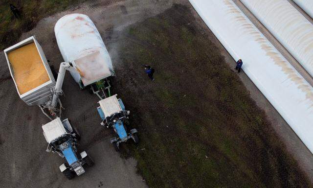 Mit Satellitenbildern beobachtet die Nasa die Getreideernte in der Ukraine.