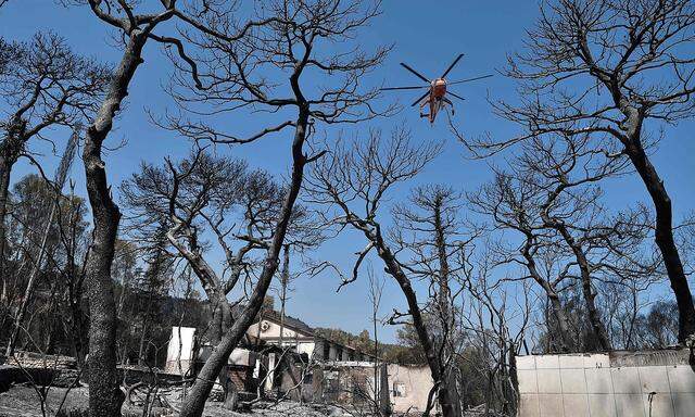 Ein Helikopter überfliegt die Brandruinen des Club Mediterranee in Lambiri, östlich der griechischen Stadt Patras.