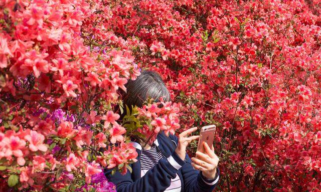Woman holds her mobile phone as she stands amid flowers at the South China Botanical Garden in Guangzhou