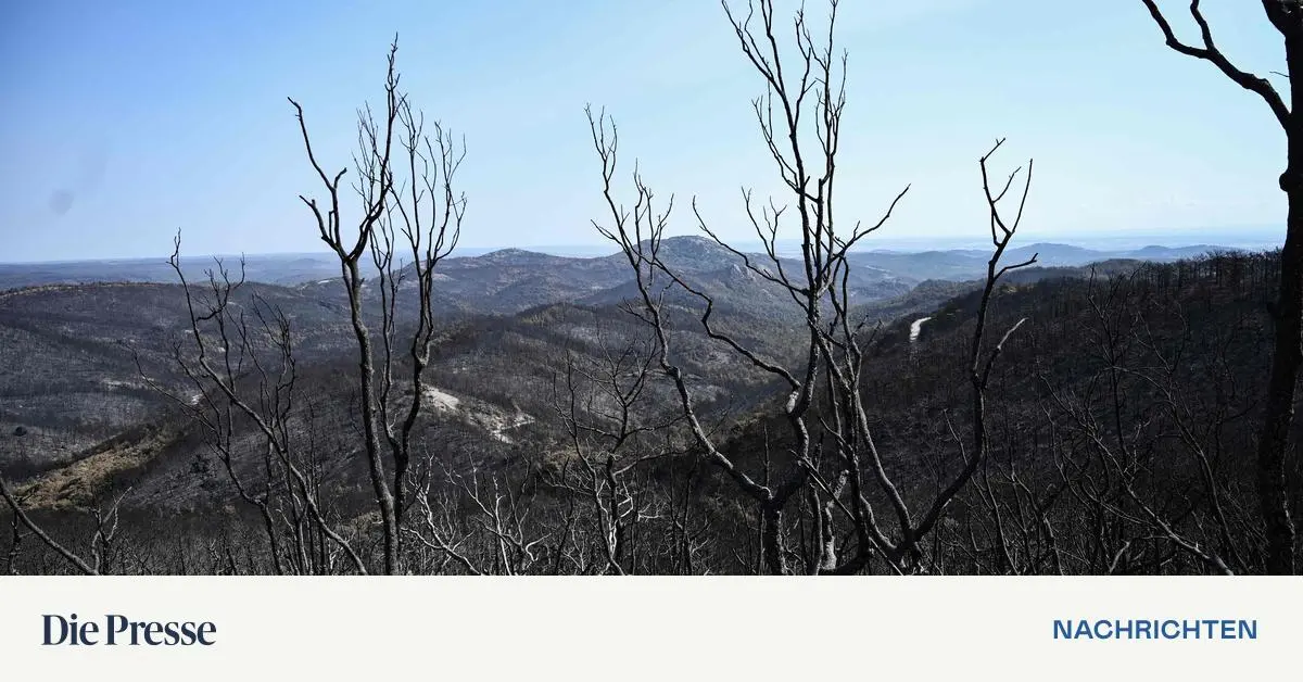 The World Weather Organization confirms: 2023 will be the hottest year since…