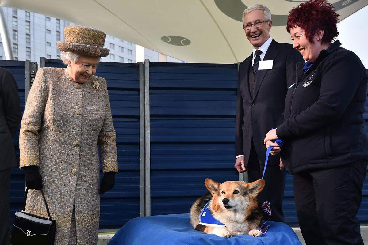 Die bodennahen Vierbeiner schlafen übrigens in ihrem eigenen Corgi-Zimmer, so die "Daily Mail". Jeder Hund hat einen eigenen Weidenkorb, der einige Zentimeter über dem Boden angebracht ist, damit sie sich nicht verkühlen. Die Kuscheldecken für ihre Bettchen werden angeblich jeden Tag gewaschen. Die Queen beim Besuch der "Battersea Dogs &amp; Cats"-Schau in London, 17. März, 2015