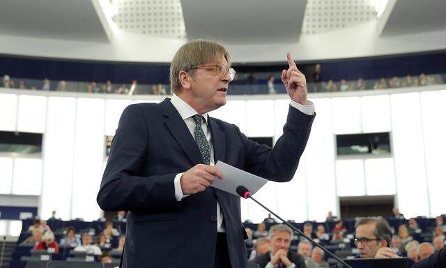 Europas Königsmacher? Guy Verhofstadt, Fraktionschef der Liberalen im EU-Parlament.