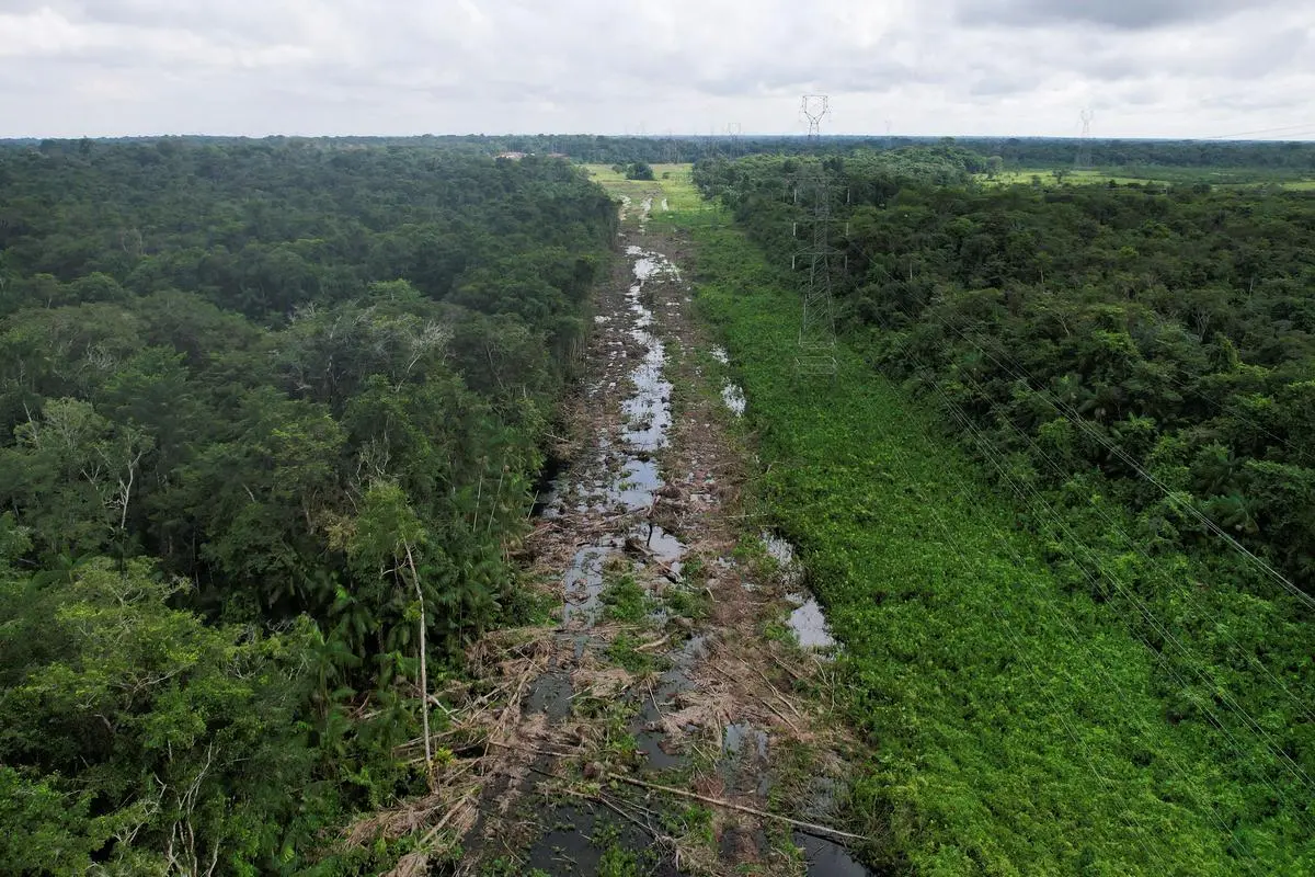 Brazil brings the Amazon to the Stock Exchange – Diepresse.com before the COP30 climate conference Cop30