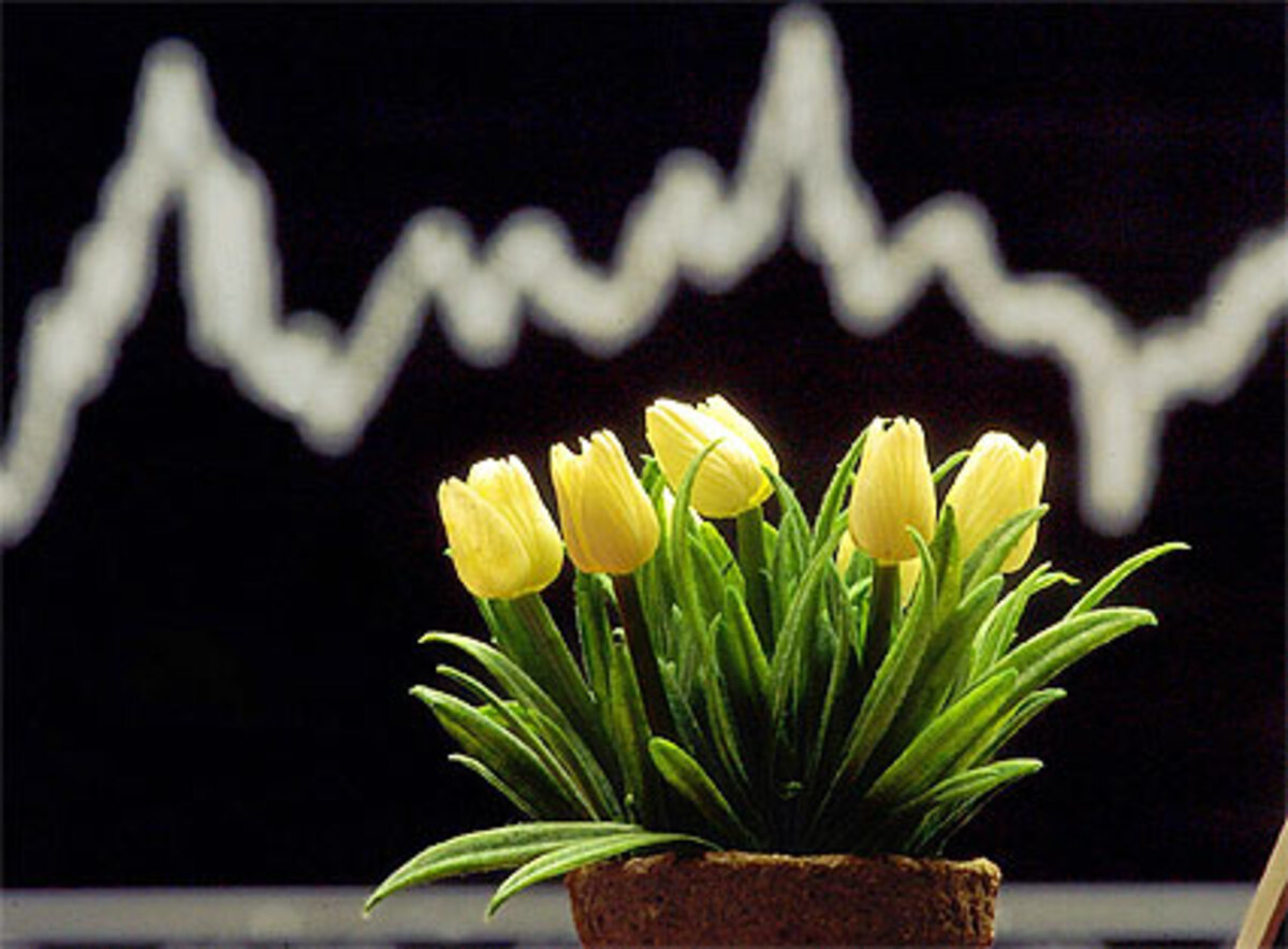 Für seltene Kreuzungen gab es Termingeschäfte, einzelne Sorten steigerten ihren Wert um bis zu 1.000 Prozent. Eine einzelne Tulpenzwiebel kostete nicht mehr nur einen, sondern 1.000 Gulden. Nach drei Jahren ging der Blase die Luft aus. Die Preise rutschten ins Bodenlose.