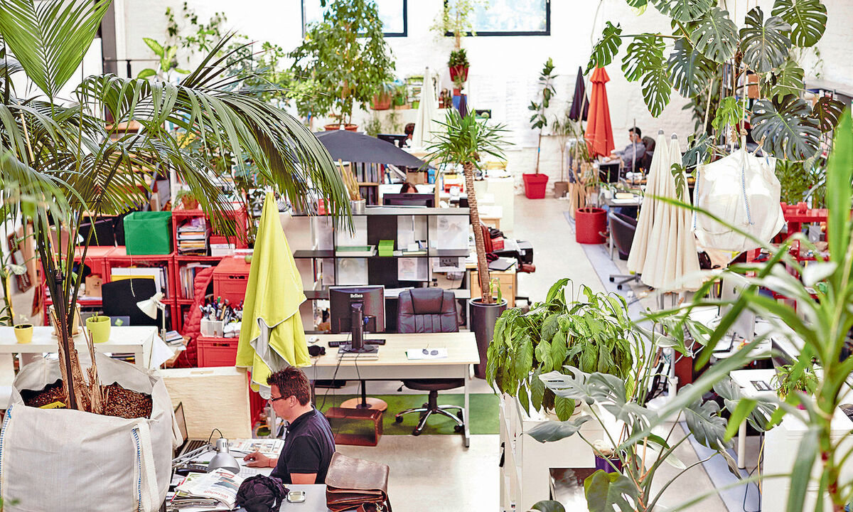 Chaos oder Anregung? Im „Rochuspark“ im dritten Wiener Bezirk ist die scheinbare Dschungelanmutung kreatives Konzept.