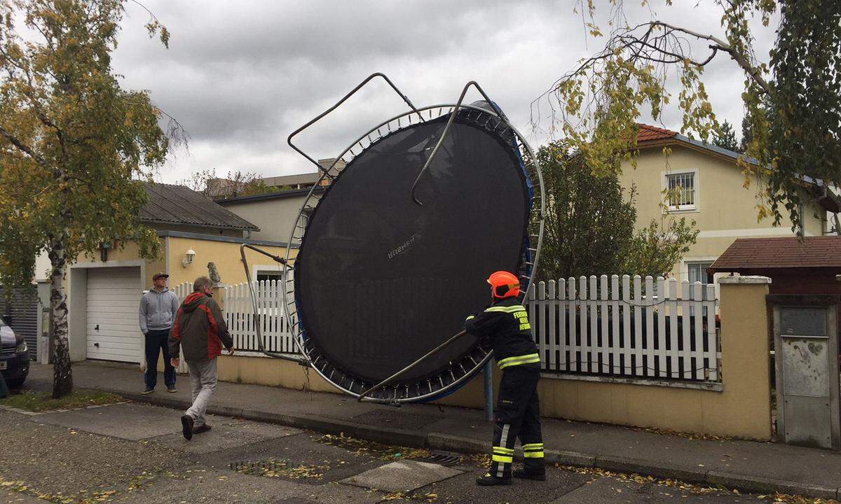 In Niederösterreich wütete der Sturm in nahezu allen Regionen. Die Arbeit der Feuerwehren bestand großteils darin, umgestürzte Bäume von Strom- oder Telefonleitungen sowie Straßen zu beseitigen, Kamine und Dächer sowie instabile Fassadengerüste zu sichern. Im Waldviertel waren vorübergehend Tausende Haushalte ohne Strom.