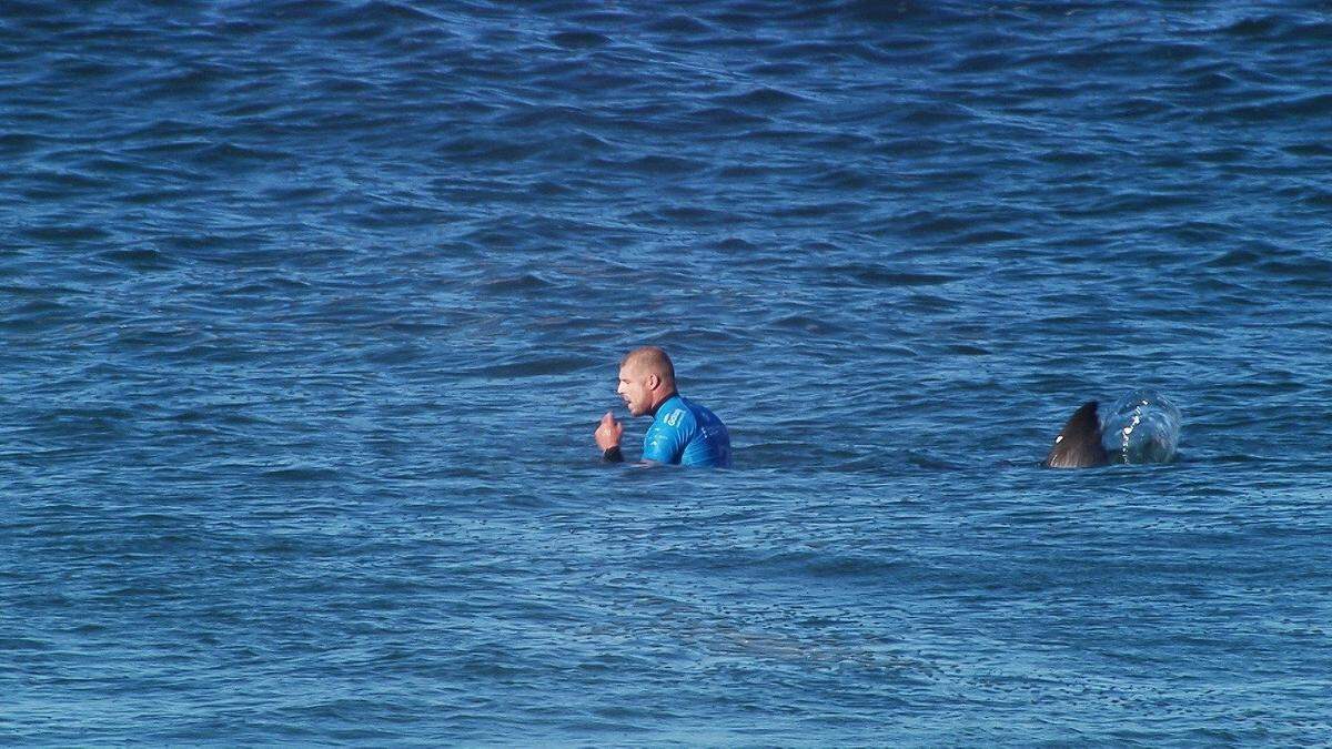 Eine Horror-Vision wird Wirklichkeit, in den Weltmeeren aber ist es ein gar nicht selten gesehenes Bild: Surfer trifft Hai.