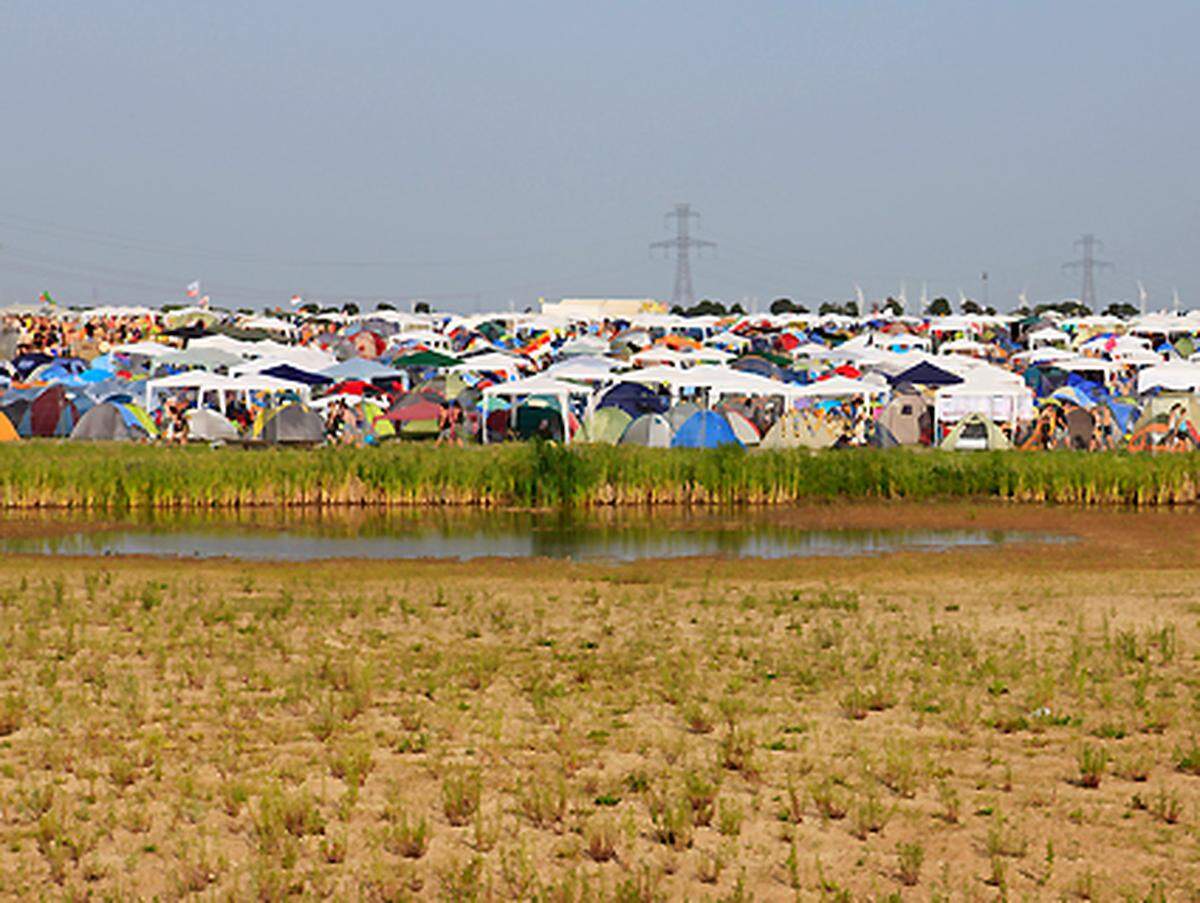 Seit einigen Tagen blieben die „Panonia Fields II“ in Nickelsdorf vom Regen verschont.