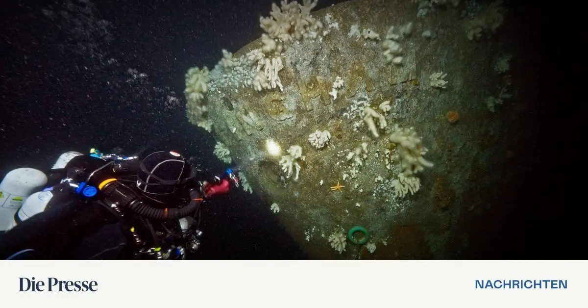 -Wie-Erstbesteigung-eines-Berges-Schiffswrack-aus-Erstem-Weltkrieg-in-der-Nordsee-entdeckt
