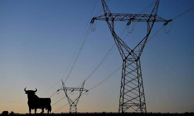 FILE PHOTO: Power lines connecting pylons of high-tension electricity and a billboard-sized figure of a bull are seen at sunset in El Berron