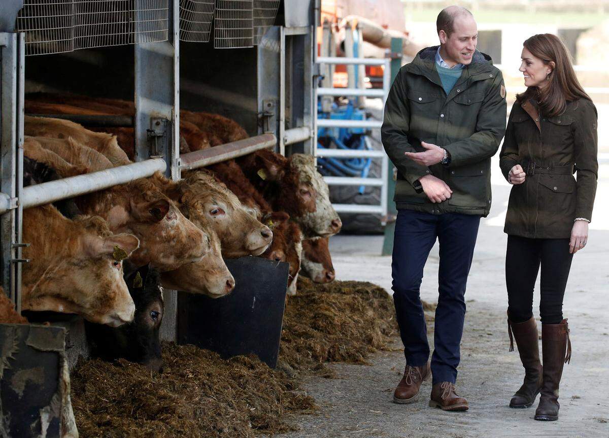 In Meath besuchte das Paar das Teagasc Animal and Grassland Research Centre, um mehr über nachhaltige Landwirtschaft zu erfahren.