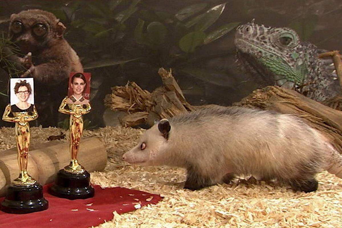 Heidi, das schielende Opossum aus dem Leipziger Zoo, hatte Recht: Natalie Portman bekam einen Oscar.