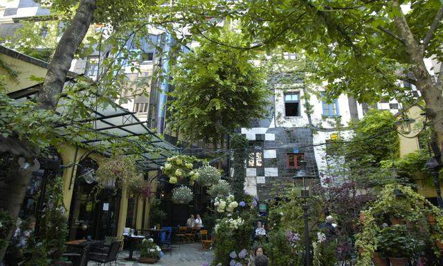 Das Kunst-Haus Wien wird ab April zur grünen Festivalzentrale der Klima-Biennale – samt einer Ausstellung über den Wald sowie einem begehbaren Dschungel. 