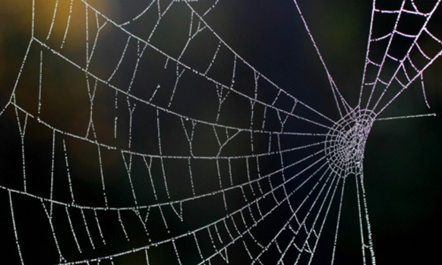 HighTechTextilien Zukunftsgespinst