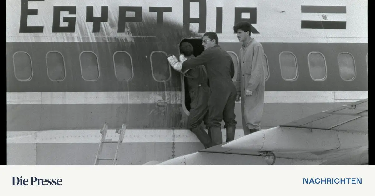 -Sie-waren-aufs-T-ten-versessen-Die-misslungene-Befreiung-der-Geiseln-des-Egypt-Air-Flugs-648-premium-