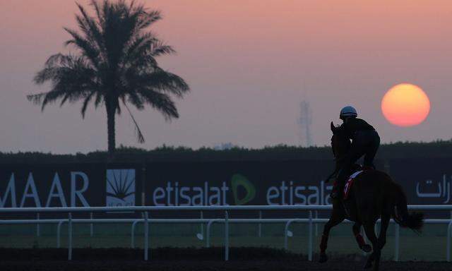 UAE HORSE RACING DUBAI WORLD CUP 2013