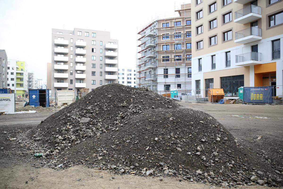 Die Stadtentwickler haben dabei nichts dem Zufall überlassen, schon Jahre vor der Fertigstellung wurden auf der Baustelle Kulturevents abgehalten, um eine junge, urbane, gut gebildete Zielgruppe nach Aspern zu lockern.