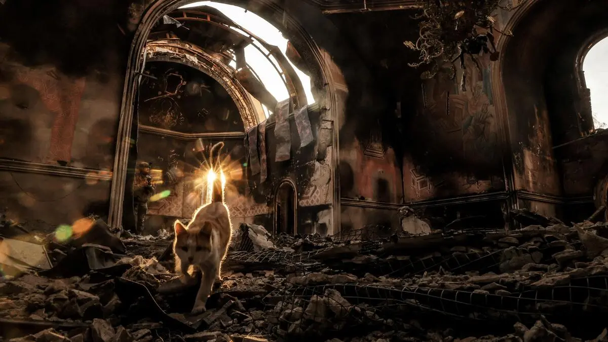 A cat walks on debris in a church damaged by Russian military strike, amid Russia's attack on Ukraine, in the frontline town of Kostiantynivka in Donetsk region, Ukraine October 13, 2025. Oleg Petrasiuk/Press Service of the 24th King Danylo Separate Mechanized Brigade of the Ukrainian Armed Forces/Handout via REUTERS ATTENTION EDITORS - THIS IMAGE HAS BEEN SUPPLIED BY A THIRD PARTY.      TPX IMAGES OF THE DAY     