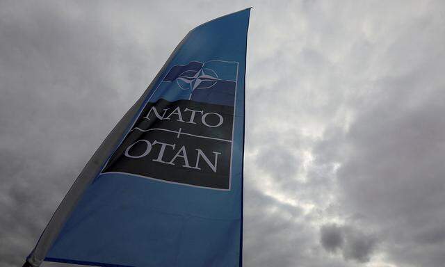 Wird die Nato jetzt endlich Stärke zeigen?