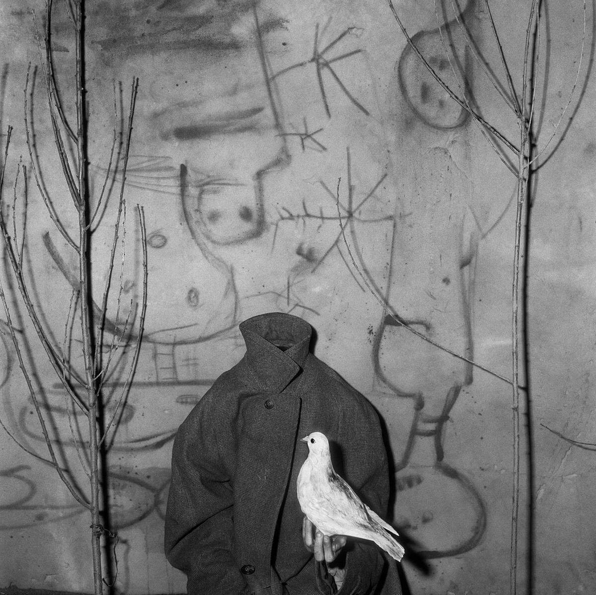 Ballens aktuellstes (Groß-)Projekt nennt sich "Asylum" und bewegt sich endgültig an der Grenze zwischen Fotografie und Installation, Malerei und Zeichnung. Roger Ballen: "Headless", 2006 aus der Serie "Asylum" (c) Roger Ballen