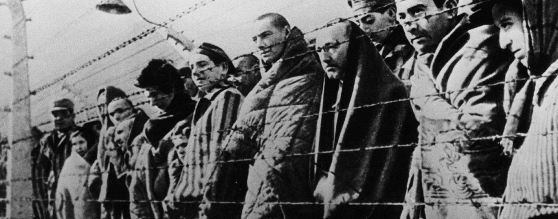 WW2 Oswiecim concentration camp prisoners freed by the Red Army in January 1945 Auschwitz Befre