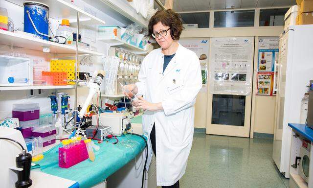 Susanne Wolbank beschäftigt sich in ihrer Forschung am Traumatologielabor mit humanen Stammzellen.