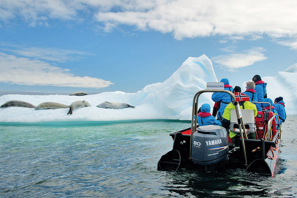 ... die den Tieren allerdings nicht zu nahe kommen sollten.