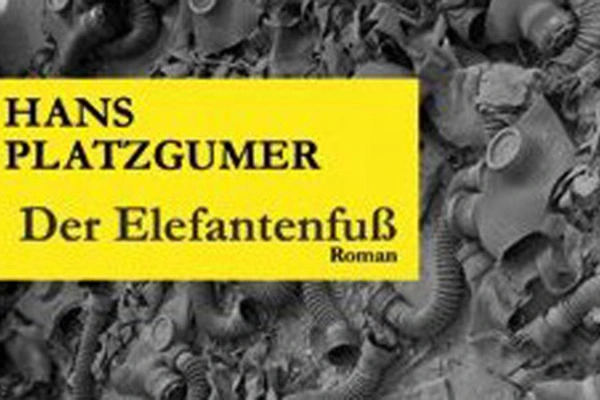 zimmerpflanze goldfruchtpalme pflege Große tierfreundliche Goldfruchtpalme – Green Me Up