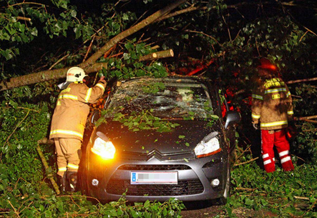 Im Bild: Ein durch einen entwurzelten Baum völlig zerstörtes Auto auf der Weikerlseestraße in Linz.