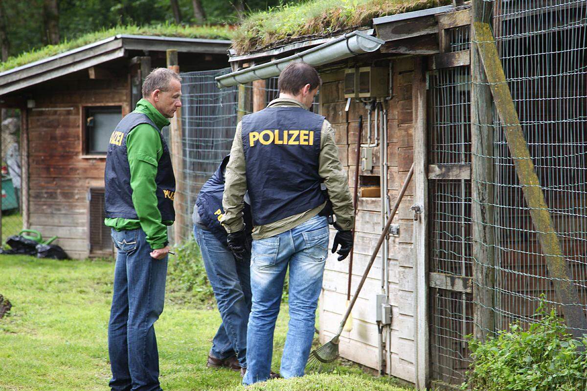 Zoo-Direktorin Sabine Grebner vermutet, dass Jugendliche die Tür zum Gehege aufgebrochen hatten. "In jüngster Zeit haben sich mehrmals in der Nacht Jugendliche zur Mutprobe in den Zoo begeben", schilderte Grebner. Polizei-Sprecher Roland Loipold konnte nicht bestätigen, dass die Türe aufgebrochen wurde. Ein Beamter habe das Schloss überprüft und dabei keine eindeutigen Indizien für ein gewaltsames Aufbrechen festgestellt.