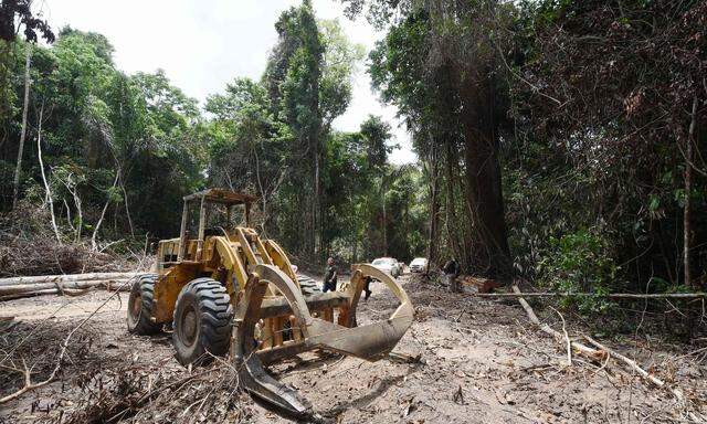 BRAZIL-UN-COP26-CLIMATE-AMAZON