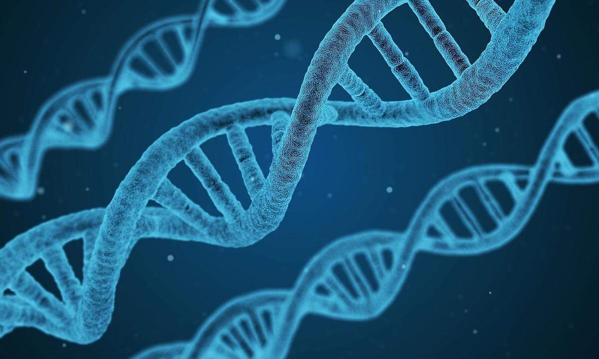 Genmediziner: findet Anwendungen dafür, was man aus den entschlüsselten Gensequenzen machen kann.