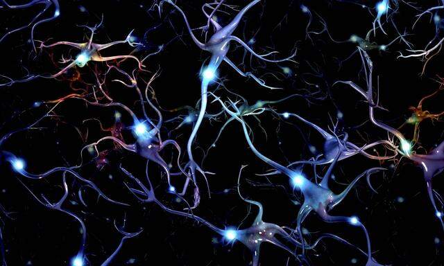 Noch im neunten Jahrzehnt wachsen neue Nervenzellen im fürs Erinnern zuständigen Hippocampus.