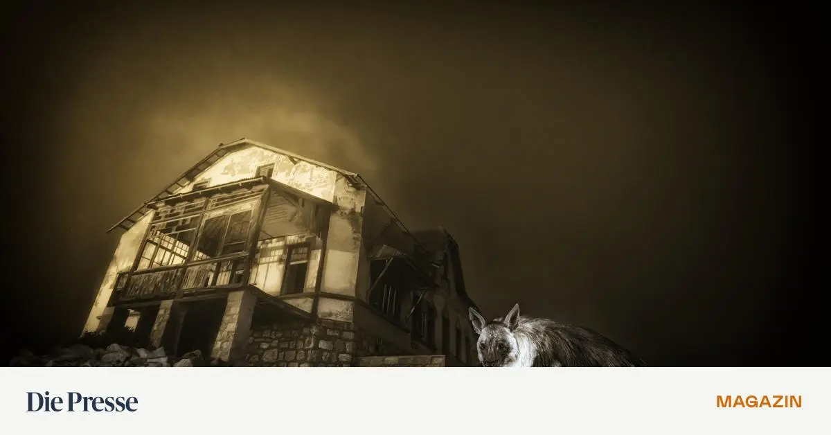 Gewinnerfoto-mit-Grusel-Potenzial-premium-