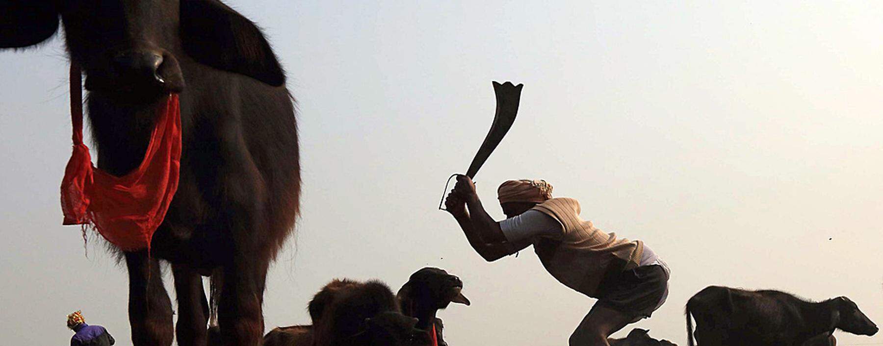 NEPAL GADHIMAI FESTIVAL