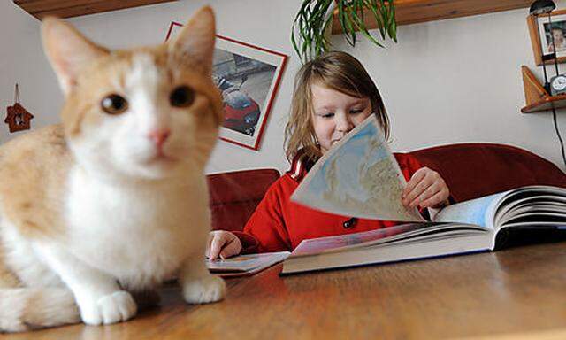 Homeschooling, Unterricht daheim, Schule, Lernen, Unterricht  Foto: Clemens Fabry