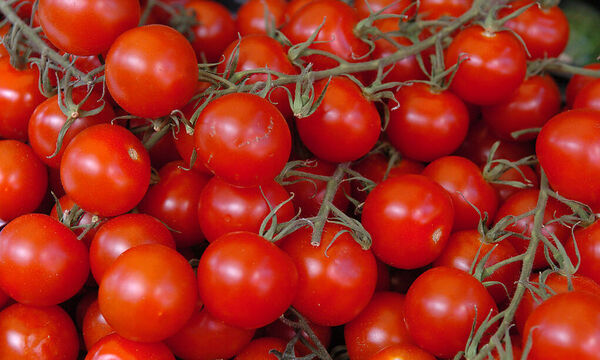 Bio-Rispentomaten: Ein Kilo kostet zwischen 7,11 und 1,99 Euro.