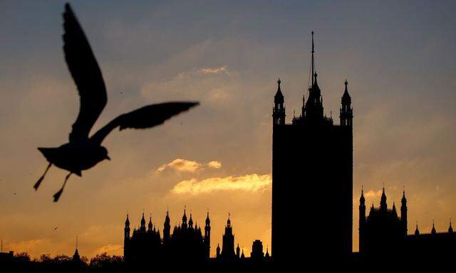 Blick auf das Parlament in London, Symbolbild 