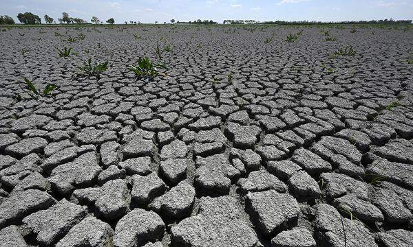 Dürre wird zu einem zunehmenden Problem in vielen Teilen der EU 