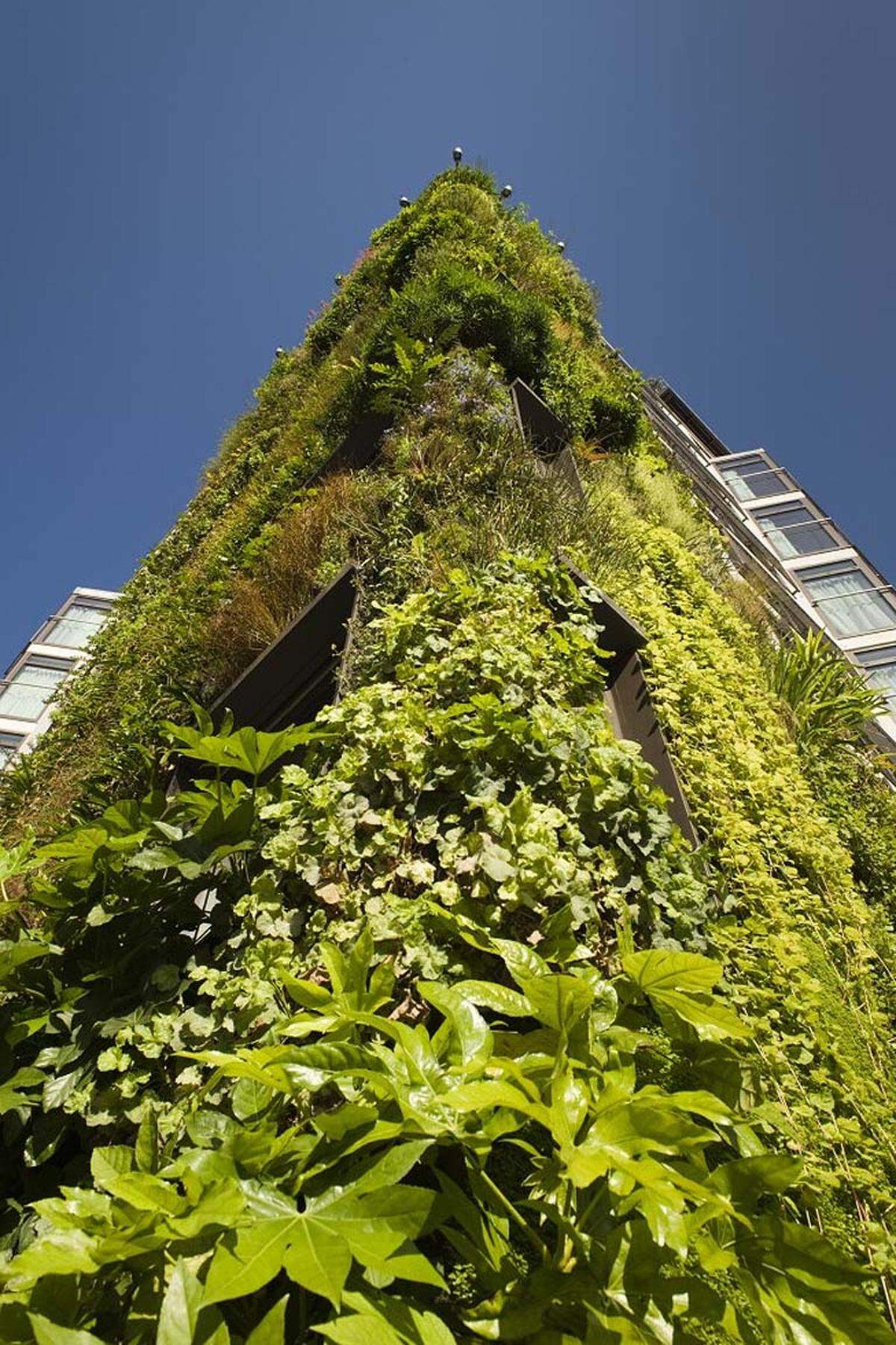 "Die Chelsea Fringe steht für eine neue Generation von Gärten," sagt ihr Begründer Tim Richardson, Gärtner und Kolumnist, gegenüber der "Zeit".