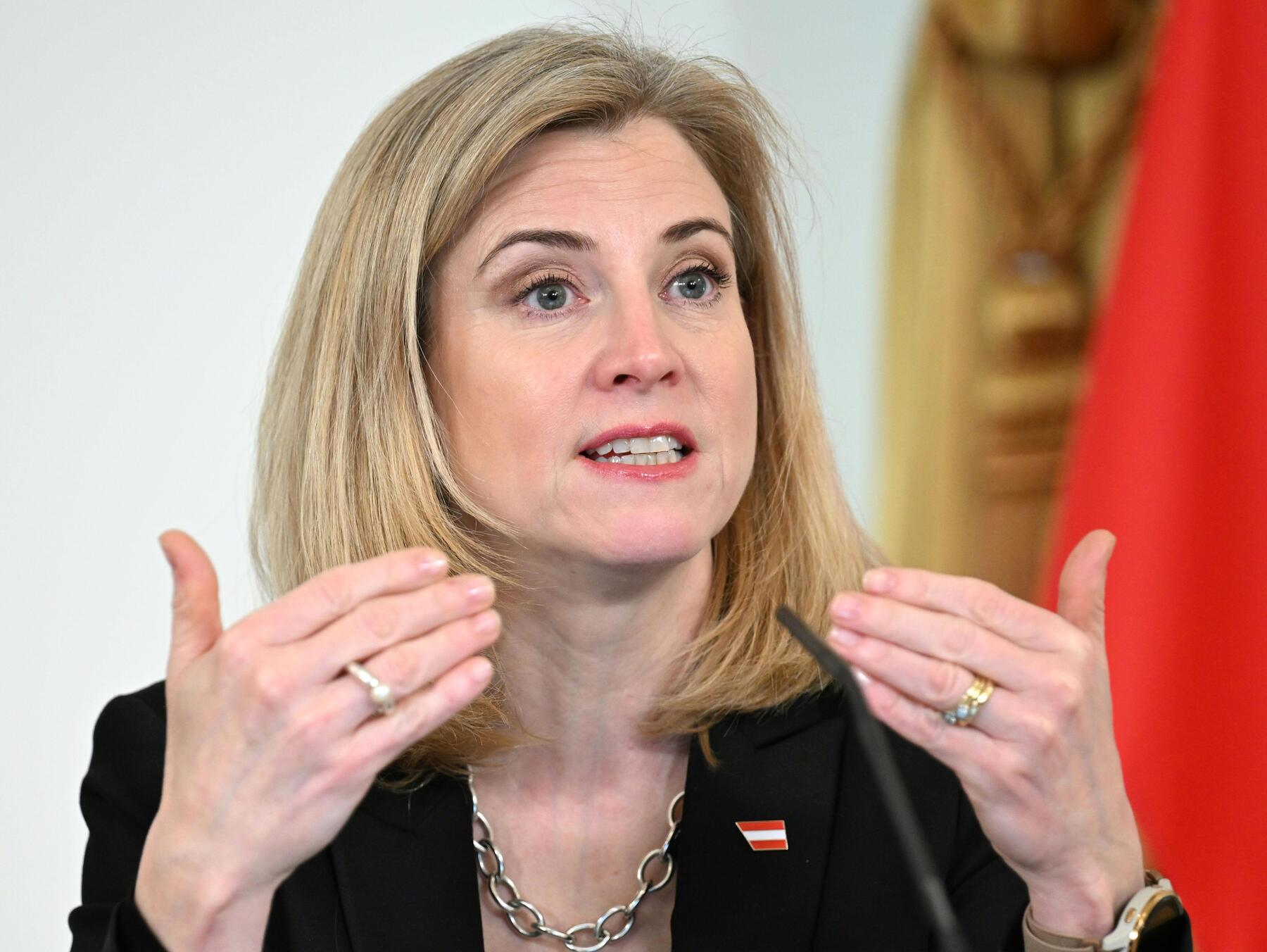 Meinl-Reisinger will in Iran-Krise vermitteln  [premium]