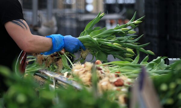 In den Jahren nach der Krise wurden produktive Vollzeitjobs in der Industrie und auf dem Bau abgebaut und Teilzeitjobs im Handel und im Tourismus geschaffen.