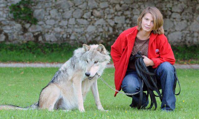 Forschung Unterschiede zwischen Hund