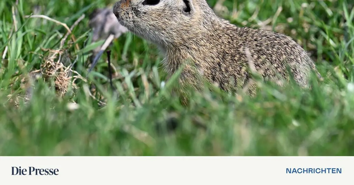 St-rungszone-beendet-am-Sonntag-das-freundliche-Fr-hlingswetter