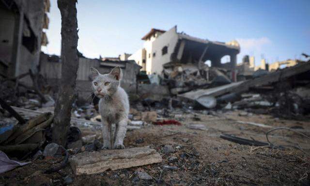 Ein zerstörtes Haus im Gazastreifen.