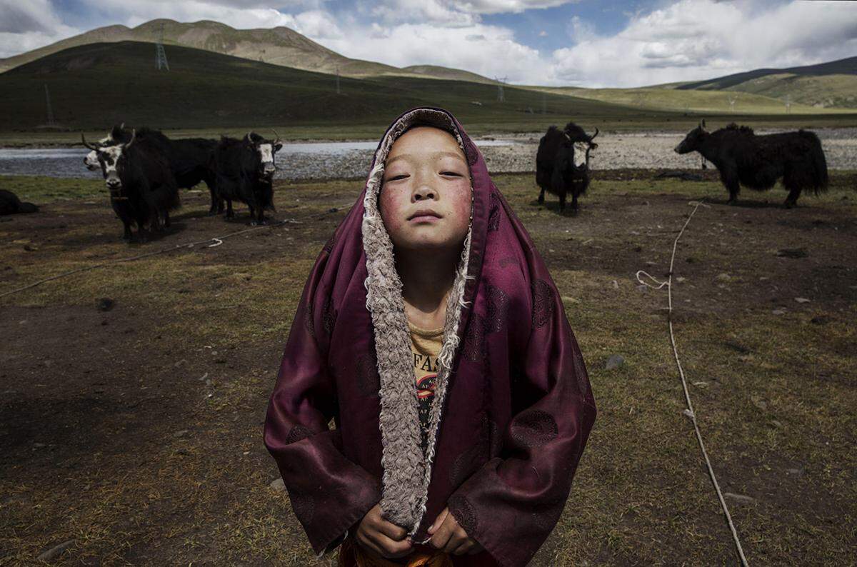 Ein junger buddhistischer Mönchsanwärter steht vor der Yak-Herde seiner Familie. Kevin Frayers Foto entstand im Sommer. Der Fotograf siegte auch in der Umwelt-Kategorie.