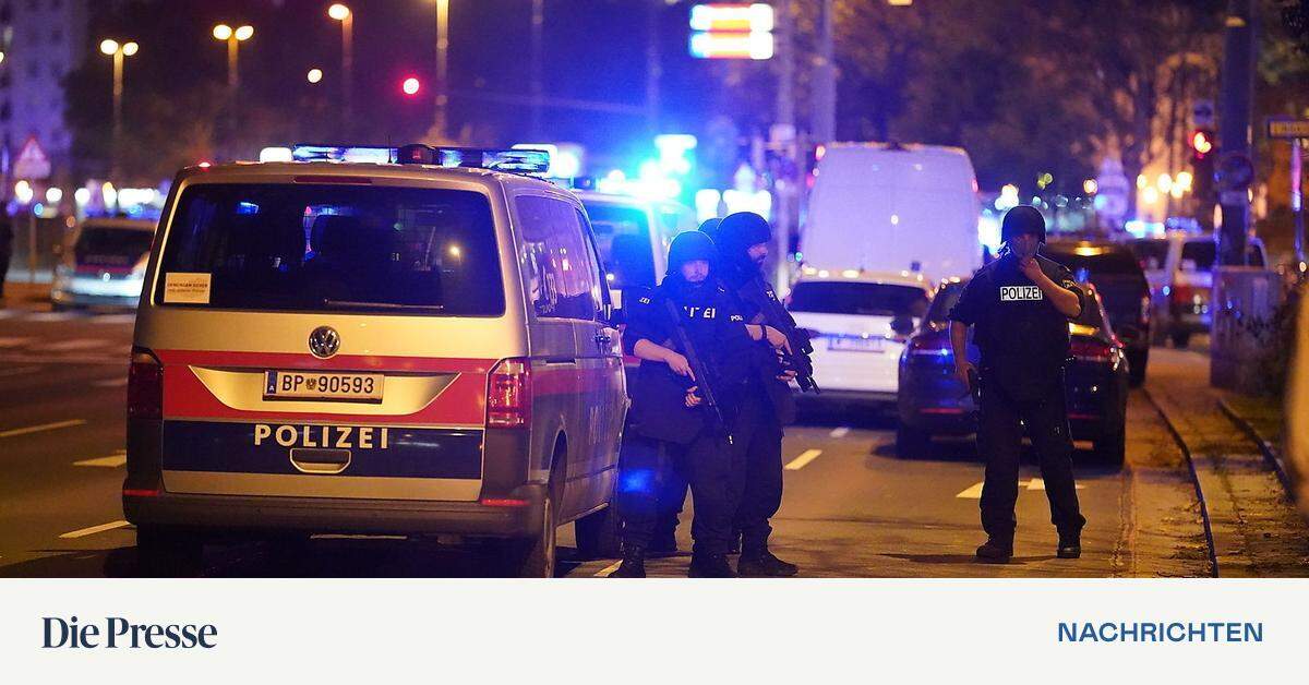 Anschlag In Wien: Ermittler: Täter Kam Fast Sicher Nicht Mit ...