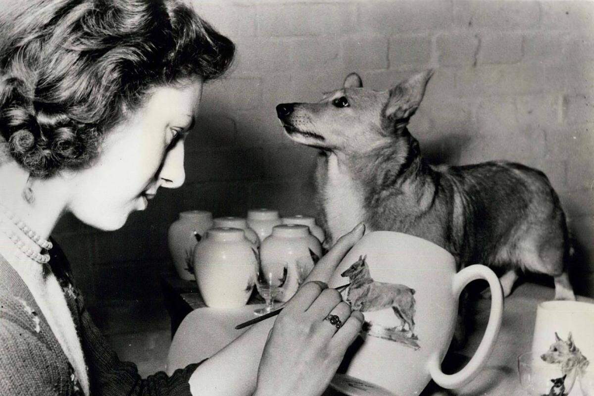 Queen Elizabeth bekam 1944 zu ihrem 18. Geburtstag Corgi-Dame "Susan" geschenkt: der Beginn einer über 70-jährigen andauernden Liebesbeziehung zwischen der Monarchin und den untersetzten Vierbeinern. Der fünfjährige Corgi "Buffer" posiert 1959 für die junge Elizabeth, die Tassen für eine Industriemesse bemalt.